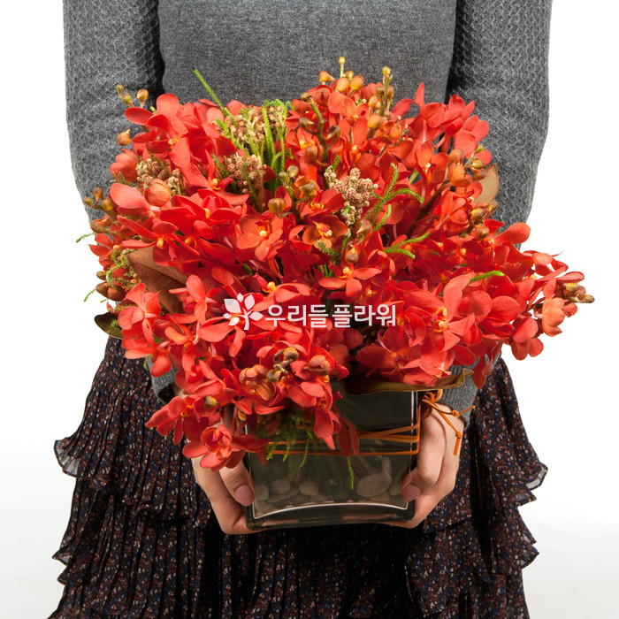 상세이미지