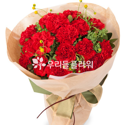 카네이션 꽃다발