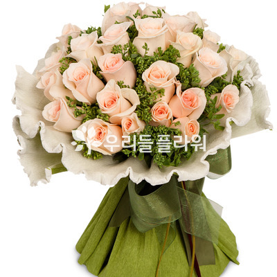 부르트