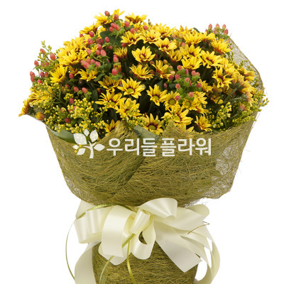 꿀벌의부름