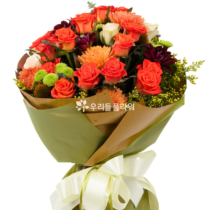 상세이미지