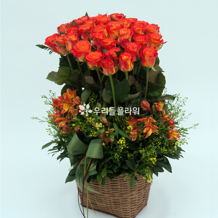상세이미지