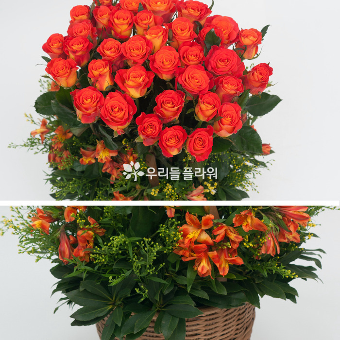상세이미지