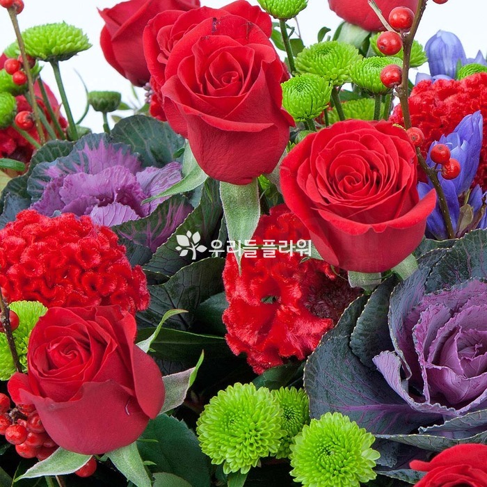 상세이미지