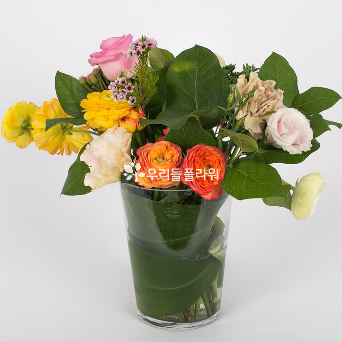 상세이미지