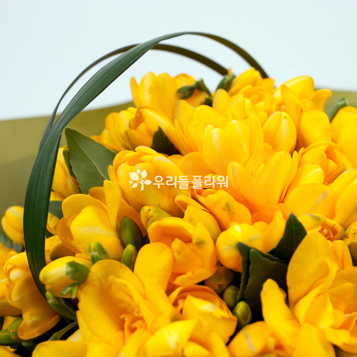 상세이미지