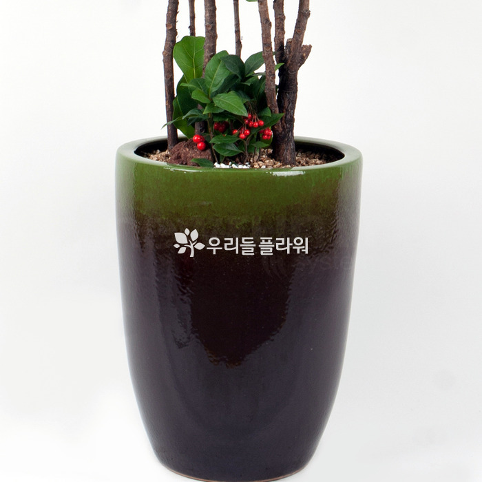 상세이미지