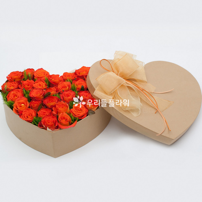 상세이미지