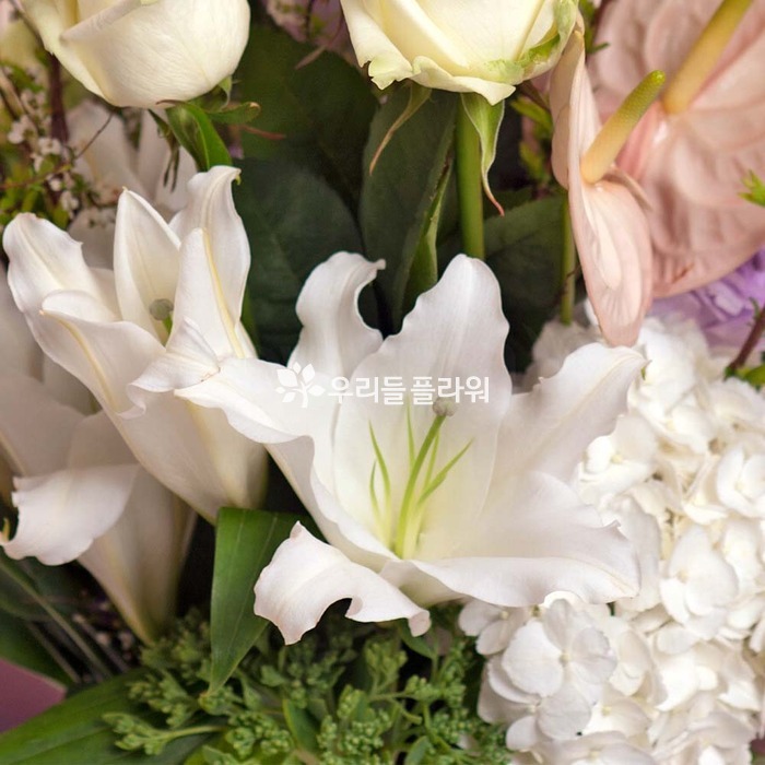 상세이미지