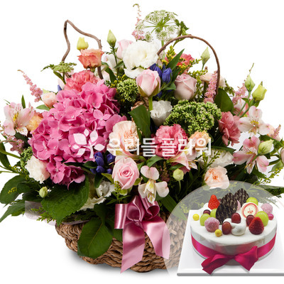 기쁜나날들+케익