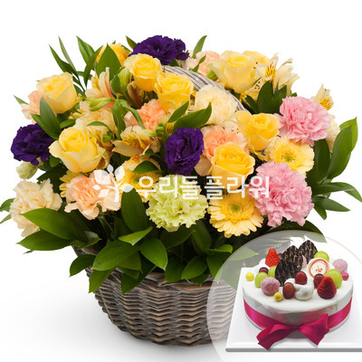 알라딘+케익