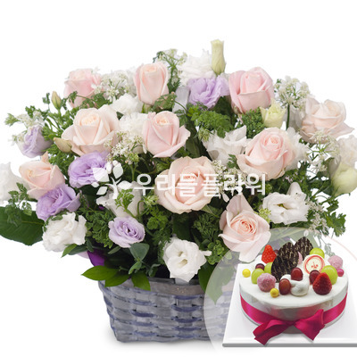 수줍은사랑케익