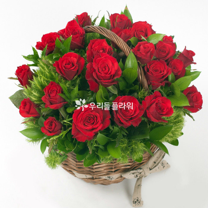 상세이미지