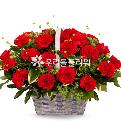 카네이션바구니 301s