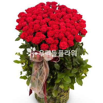 사랑하는 그대에게