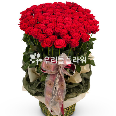 내 마음을 담아