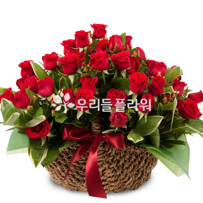 붉은 장미바구니
