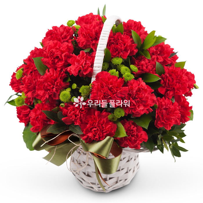 상세이미지