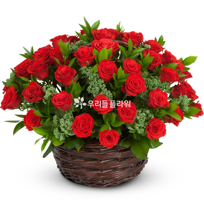 상세이미지