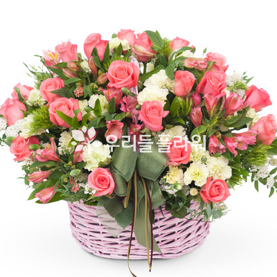 순수한마음