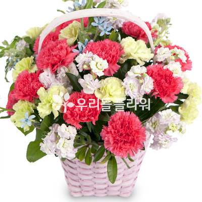 카네이션혼합바구니