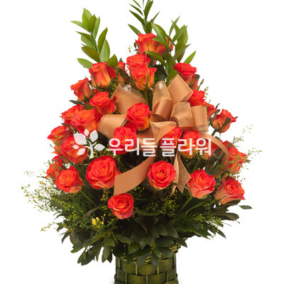 주황장미 바구니