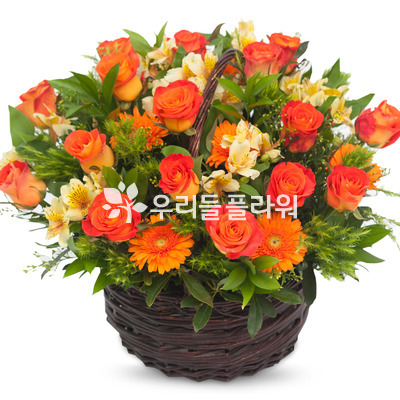 화려한 외출(꽃바구니)