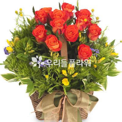 순수한 사랑