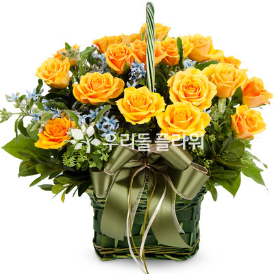 엘로 2호
