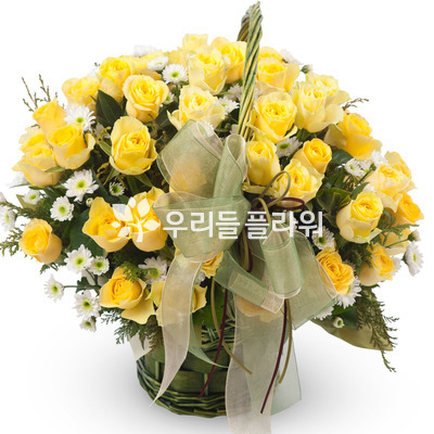 엘로 5호