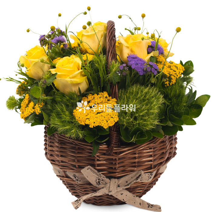 상세이미지