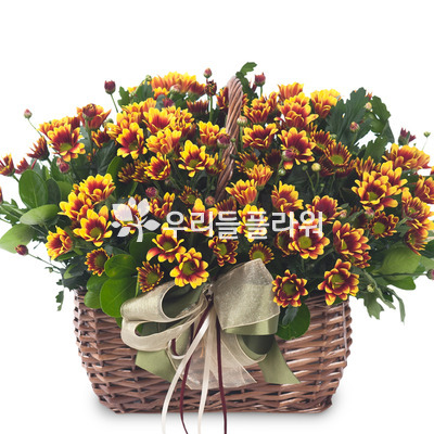 델몬트 사랑