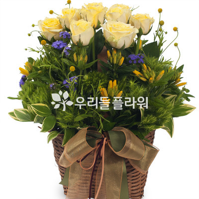 옐로우톤바구니