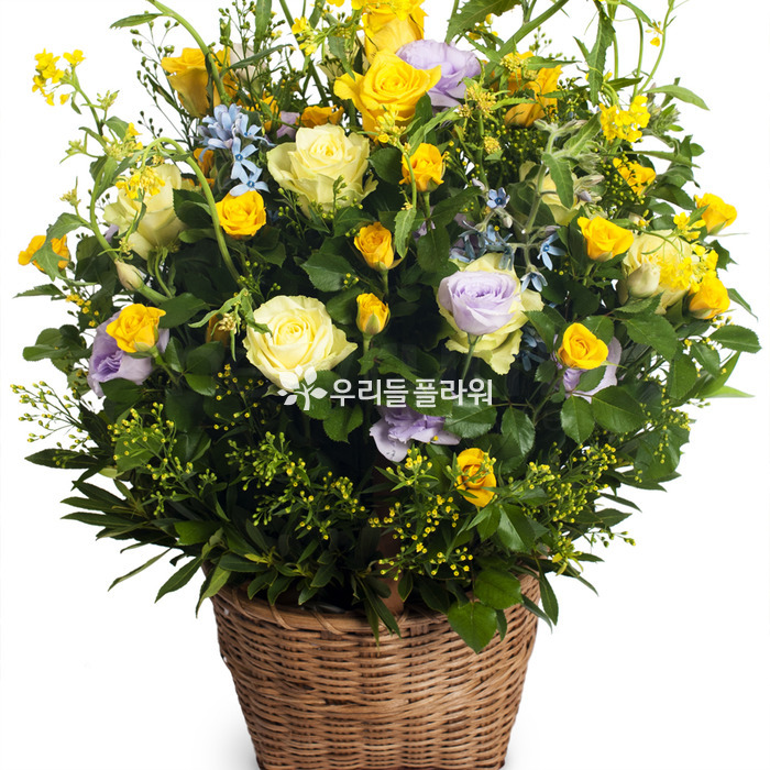 상세이미지