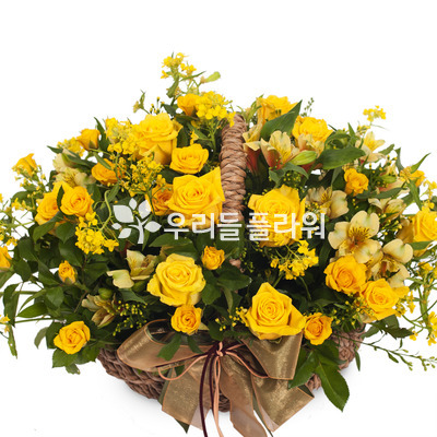 미니노랑장미혼합