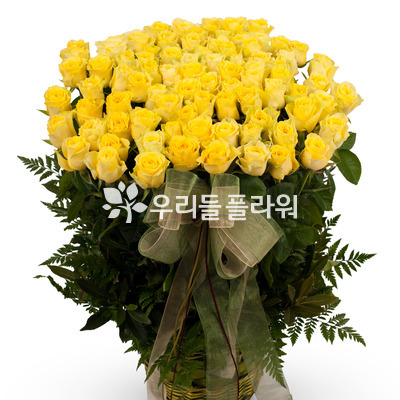 아름다운금물결100송이