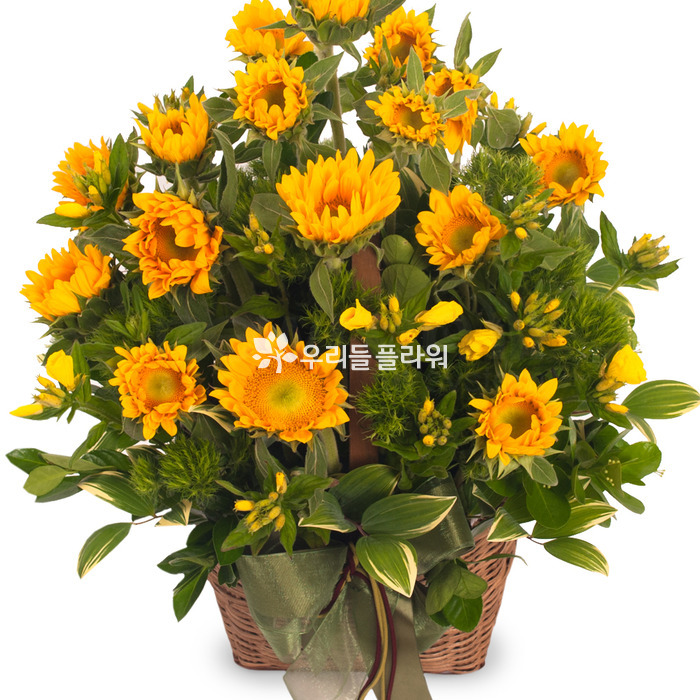 상세이미지