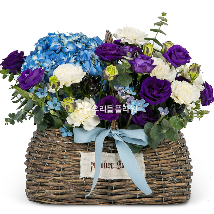 상세이미지