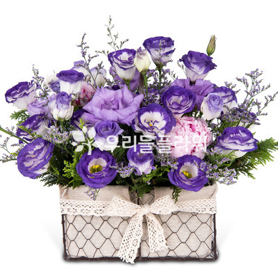 보라빛 향기~