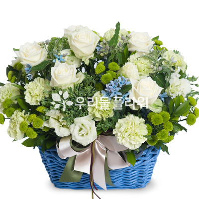 화이트/블루