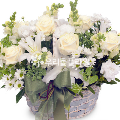 순결한 사랑