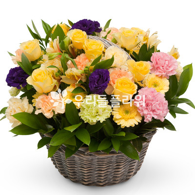 귀여운여인