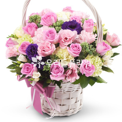 로즈 20호