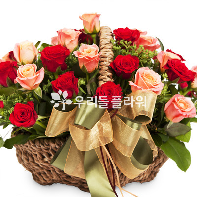부드러운 미소