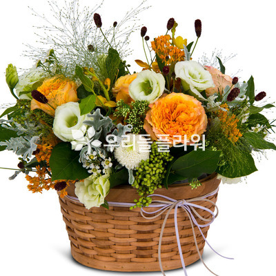 그대에게보내는사랑 a5020