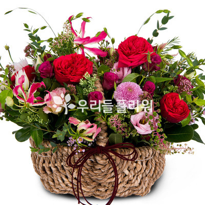 특별한분에게