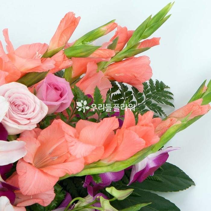 상세이미지