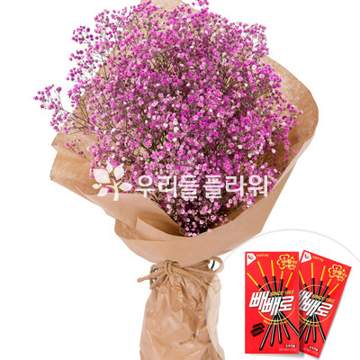 핑크안개다발 +빼빼로2개