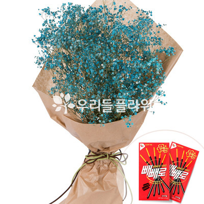 블루안개+빼빼로2개