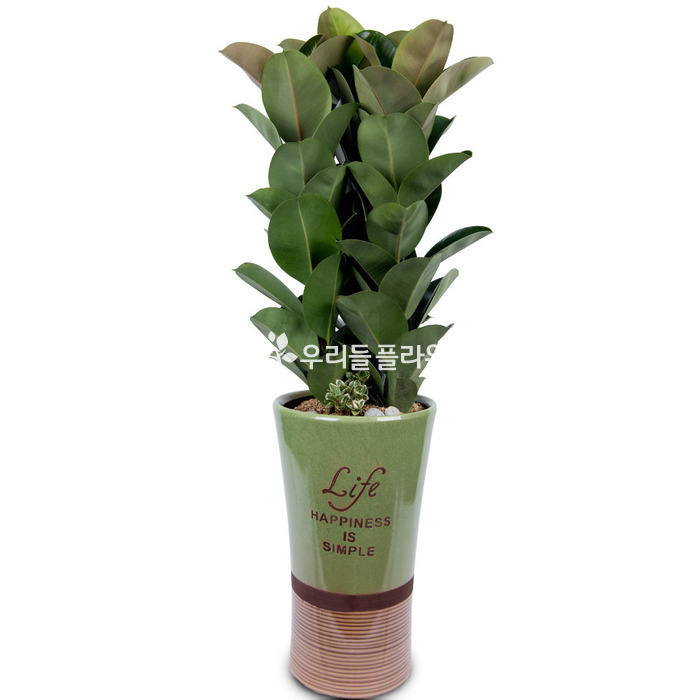 상세이미지